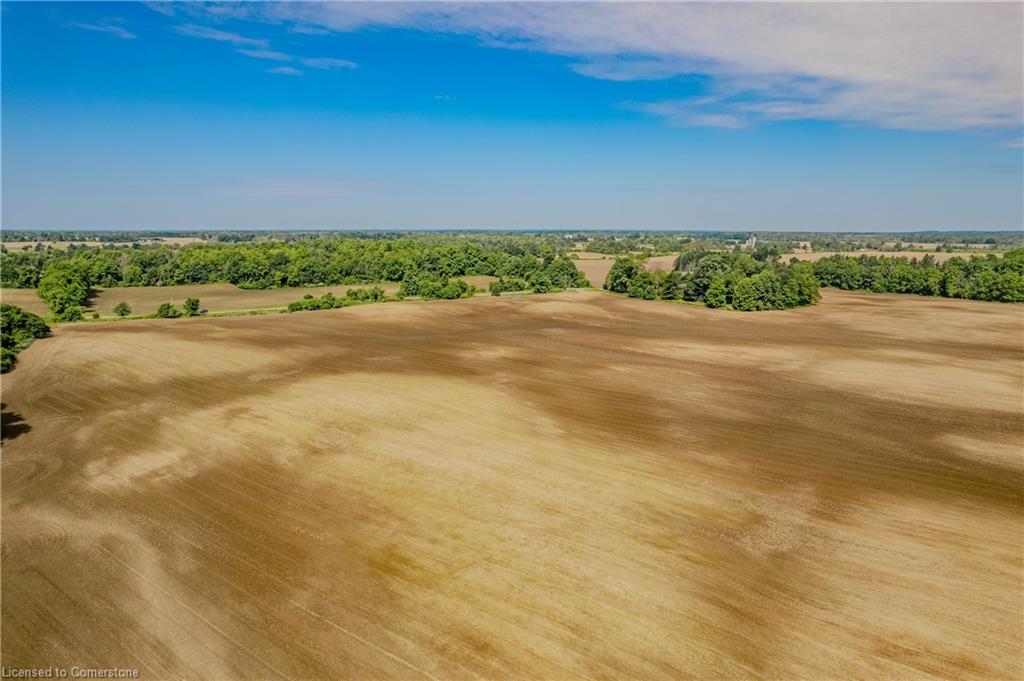 1541 Fiddlers Green Road Property Photo 14