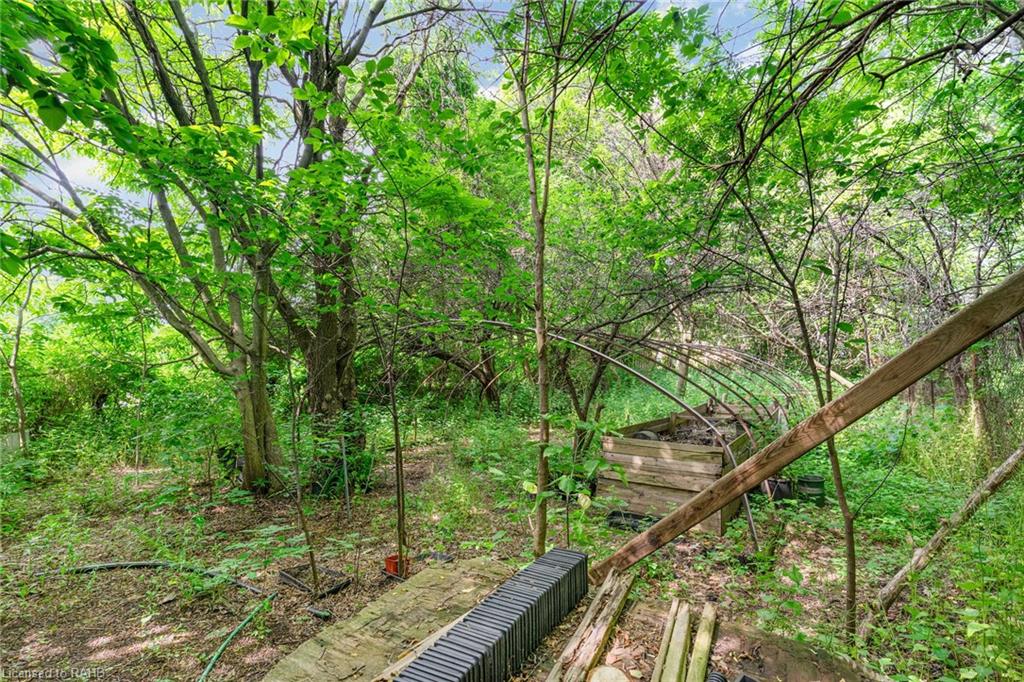 845 Collinson Road Property Photo 7