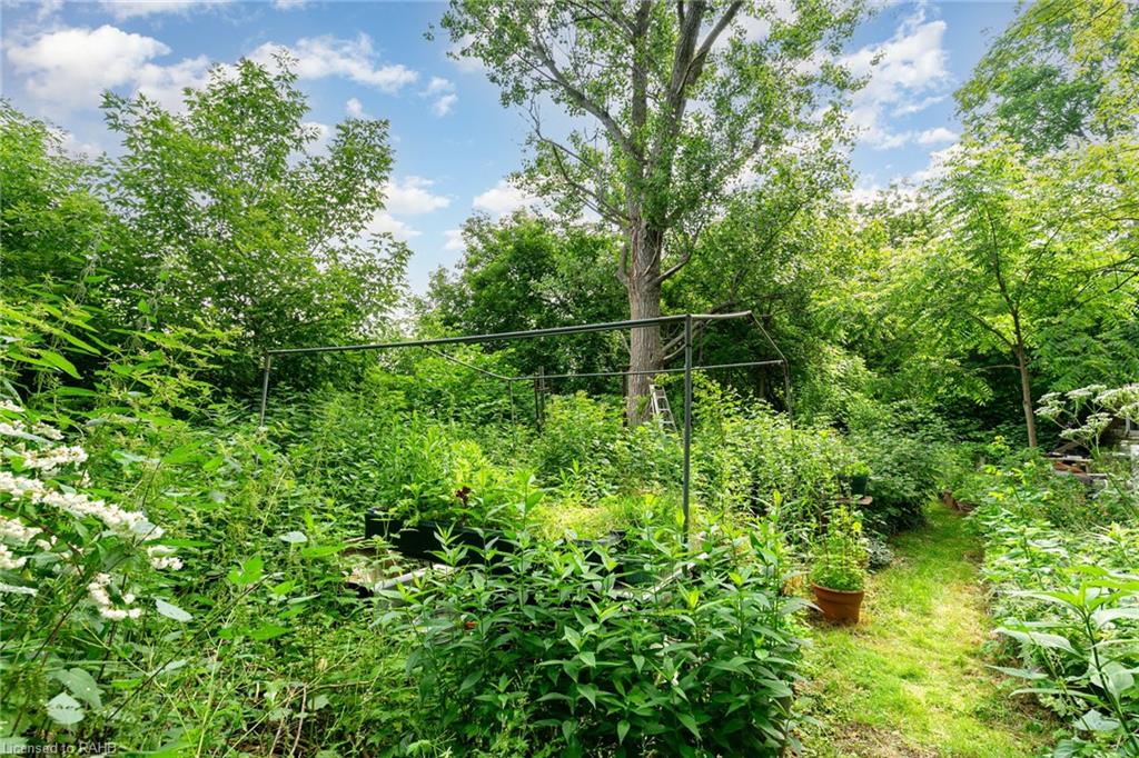 845 Collinson Road Property Photo 10