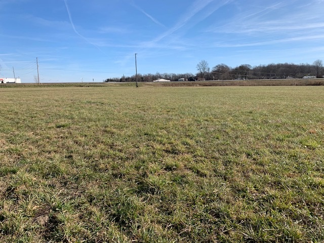 10.37 M/l Ac. W Blue Hole Road Ky Hwy. 55 & Ky Hwy. 1625 Property Photo 8