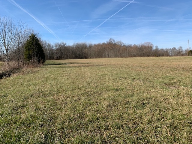 10.37 M/l Ac. W Blue Hole Road Ky Hwy. 55 & Ky Hwy. 1625 Property Photo 12