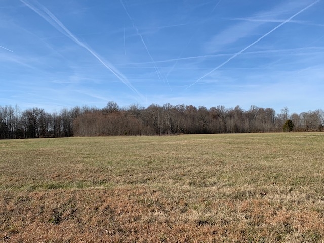 10.37 M/l Ac. W Blue Hole Road Ky Hwy. 55 & Ky Hwy. 1625 Property Photo 13