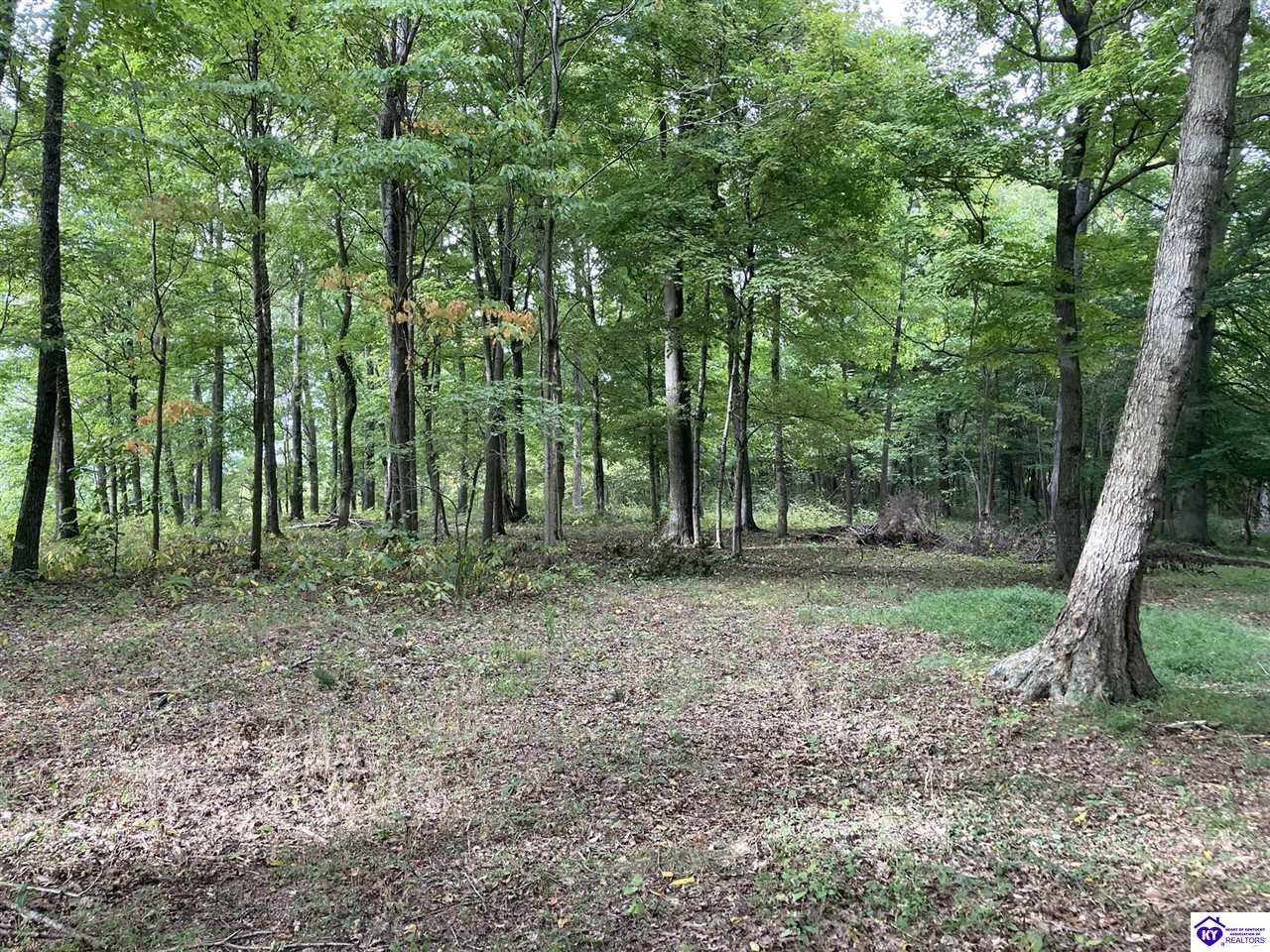 1647 Boone Hollow Road