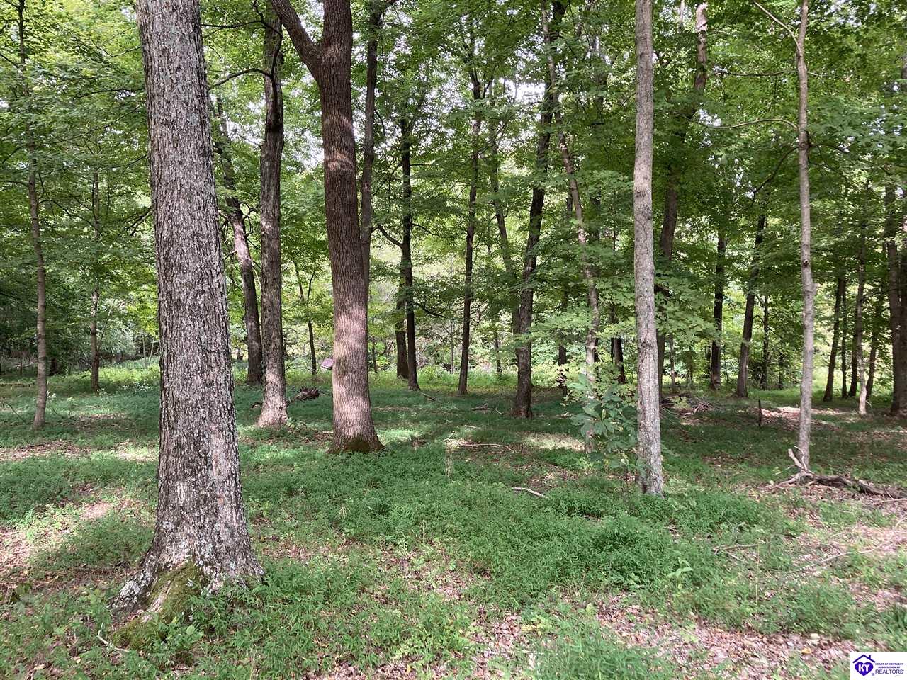 1647 Boone Hollow Road Property Photo 2