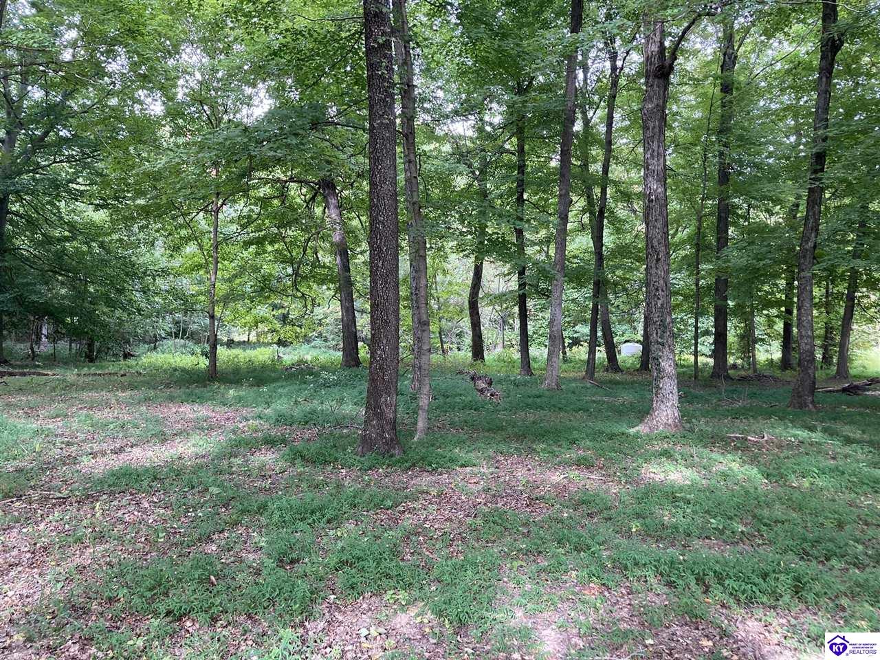 1647 Boone Hollow Road Property Photo 3
