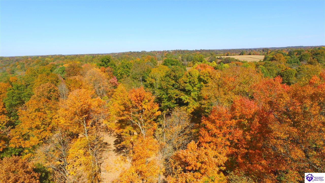 1647 Boone Hollow Road Property Photo 11