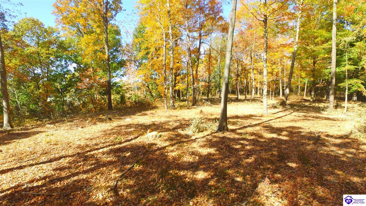 1647 Boone Hollow Road Property Photo 13