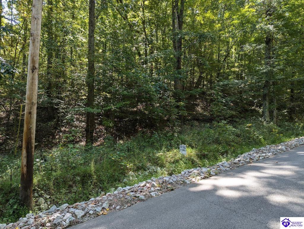 671 Holley Cave Drive Property Photo 4