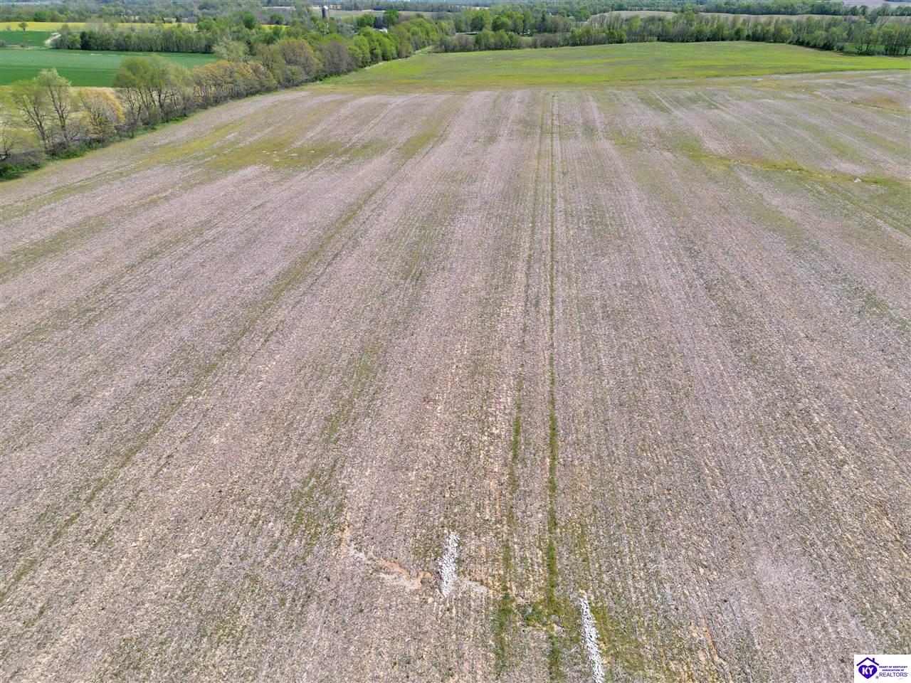 9000 Leitchfield Road Property Photo 18