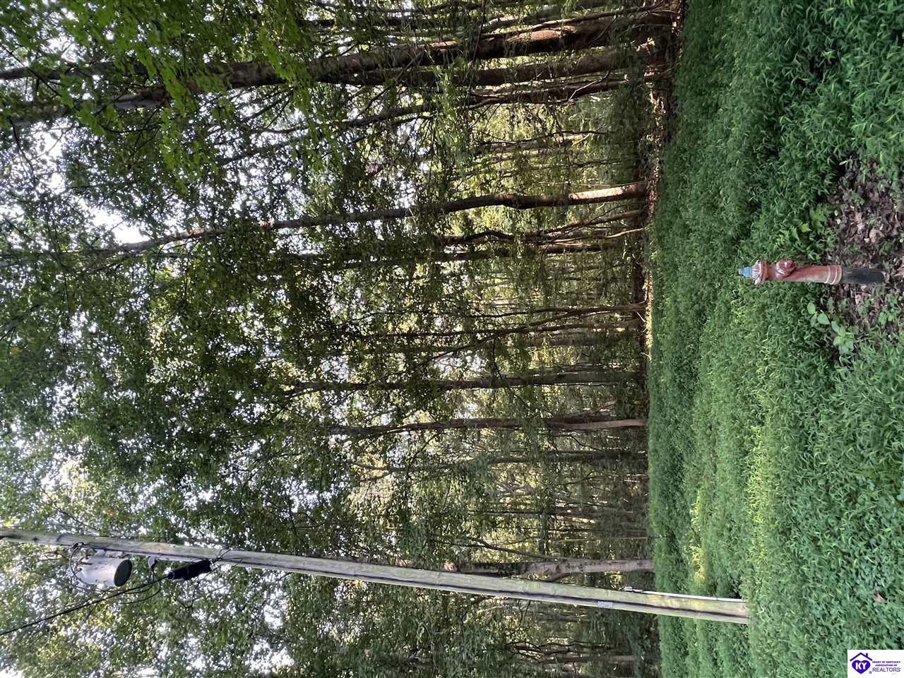 Lot# 233 Settlers Point Road Property Photo 2