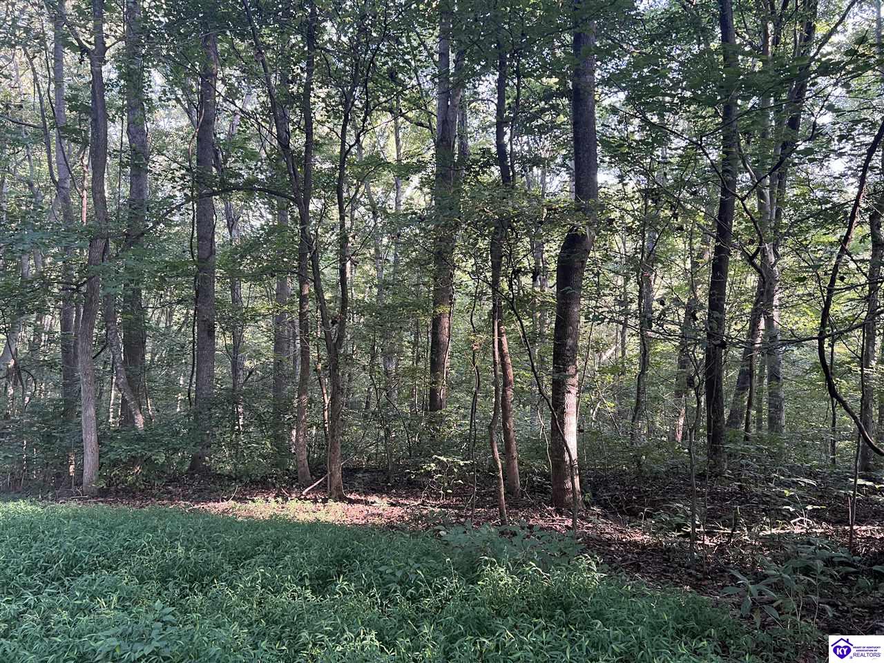 Lot# 233 Settlers Point Road Property Photo 3