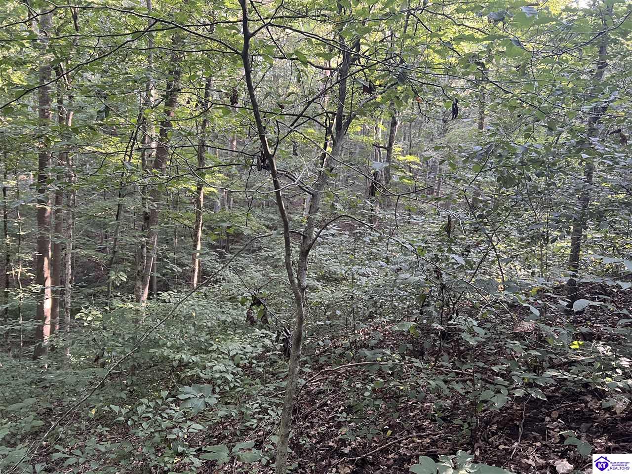 Lot# 233 Settlers Point Road Property Photo 6