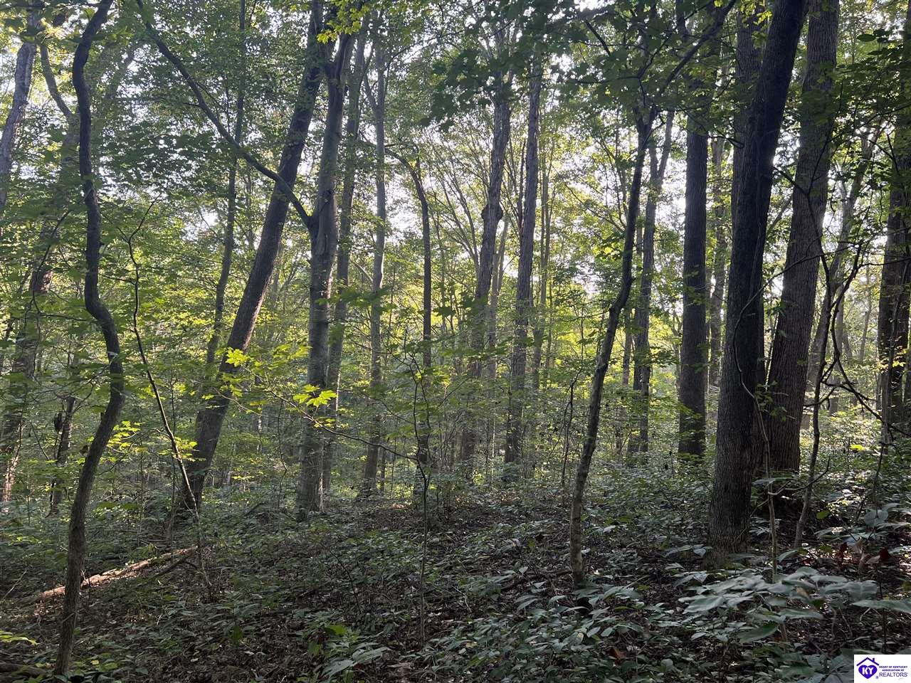 Lot# 233 Settlers Point Road Property Photo 7