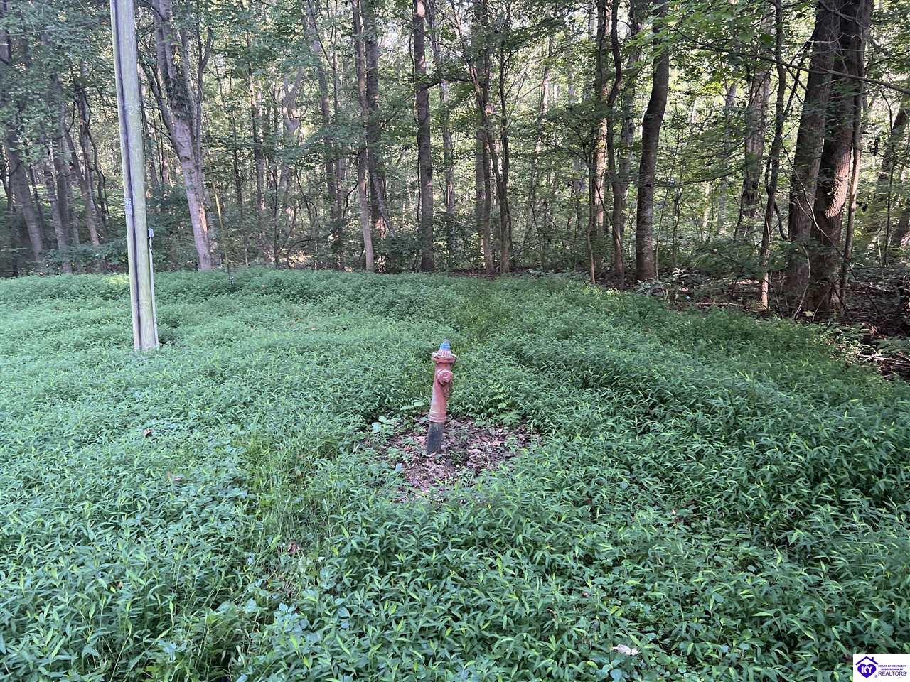 Lot# 233 Settlers Point Road Property Photo 9