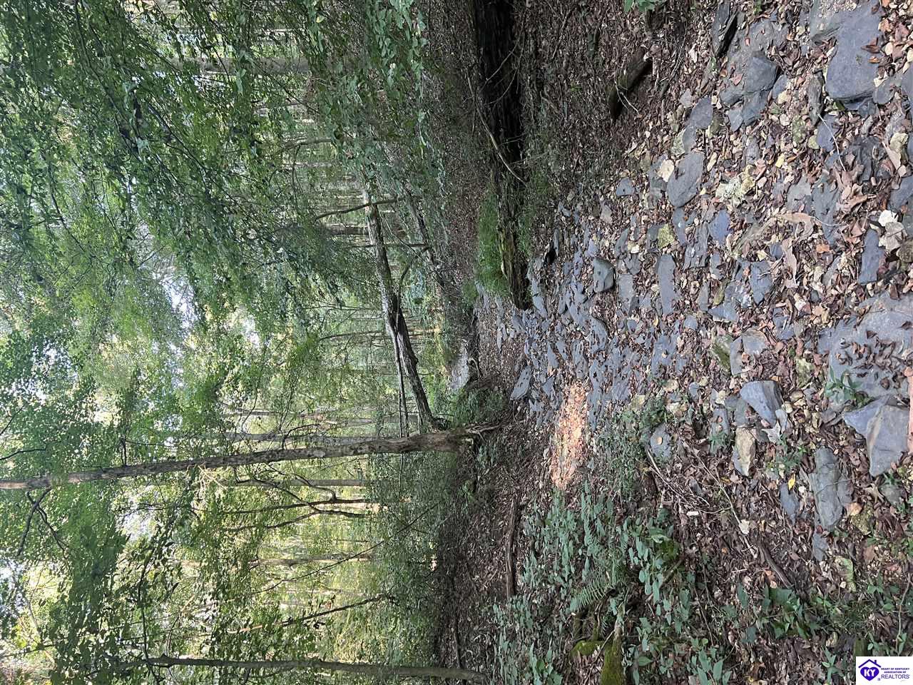 Lot# 233 Settlers Point Road Property Photo 10
