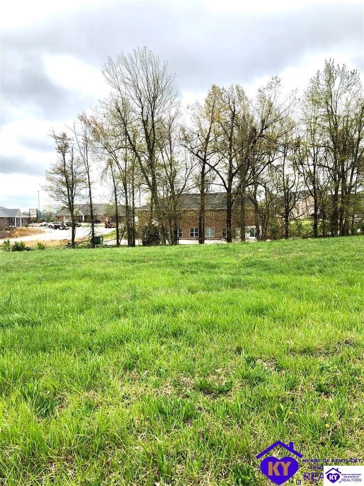 Lot 4 Drexler Circle Property Photo 5