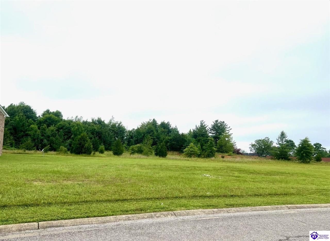 Lot 4 Drexler Circle Property Photo 9