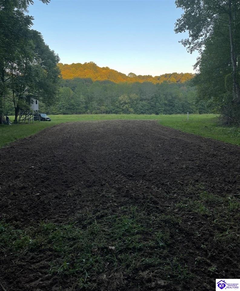 2101 Wise Road Property Photo 1
