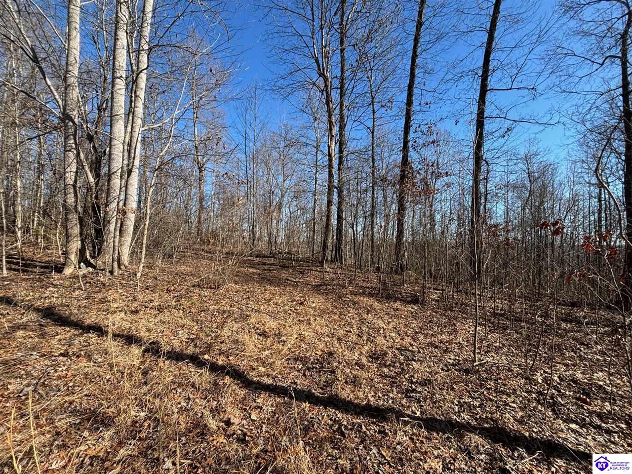613 New State Road Property Photo 24