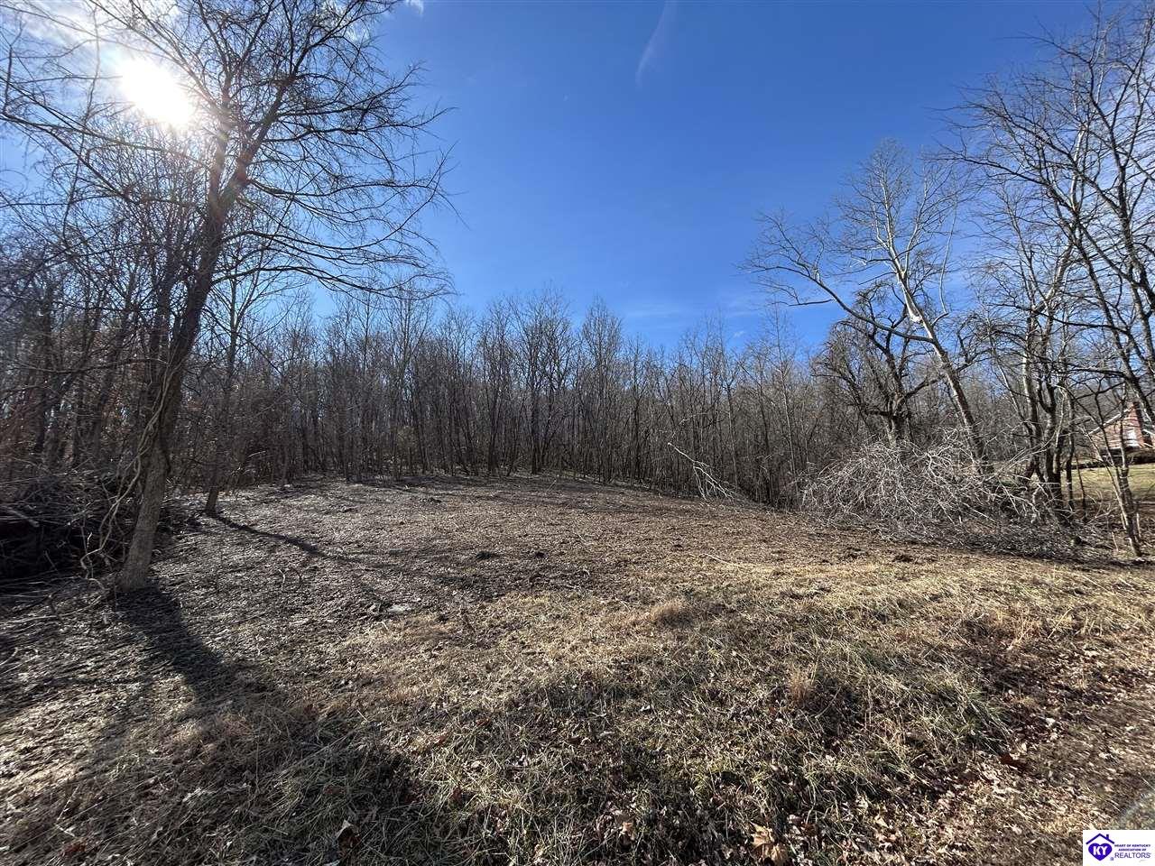 5 Swan Lake Estates Loop Property Photo