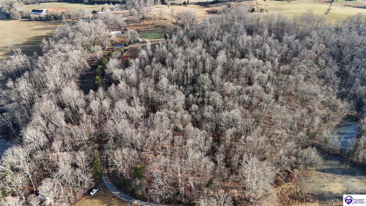 Tract 15 Rainbow Trout Road Property Photo 2