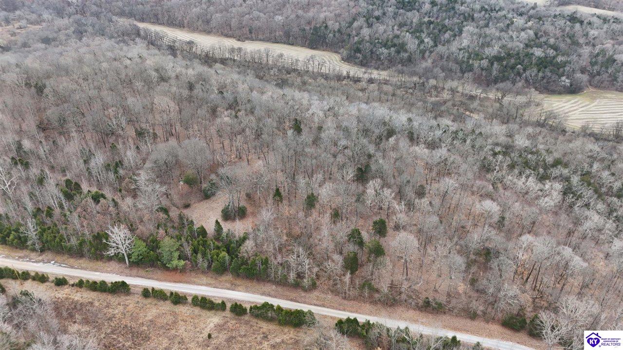 Tract 2 Wand Cemetery Road Property Photo 4