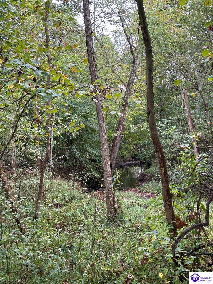155 Foggy Bottom Lane Property Photo