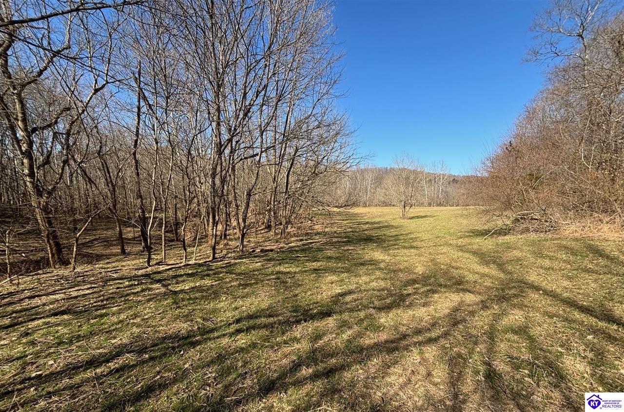1087 Basham Allen Lane Property Photo