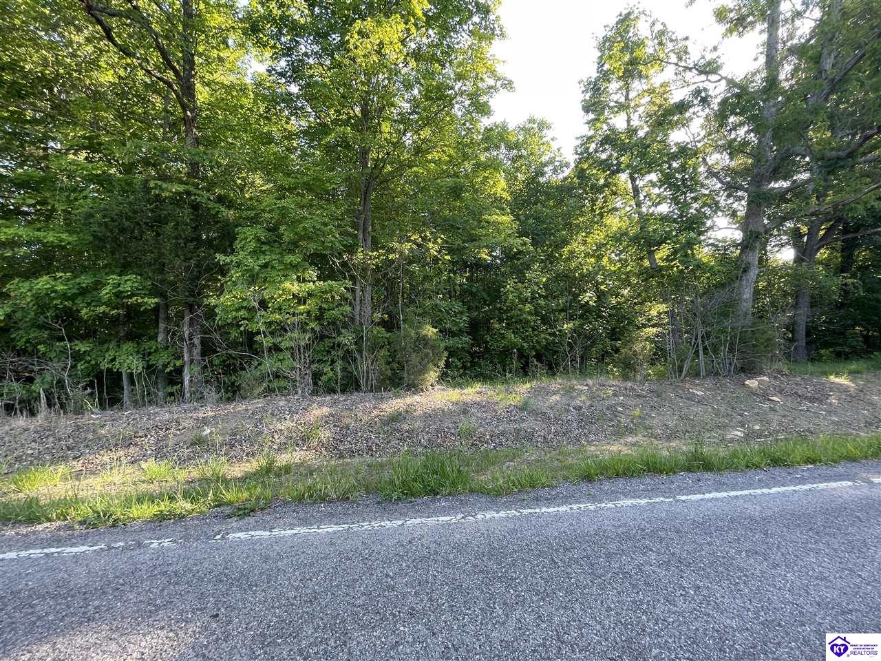 Lot 3 Rineyville Big Springs Road Property Photo 1