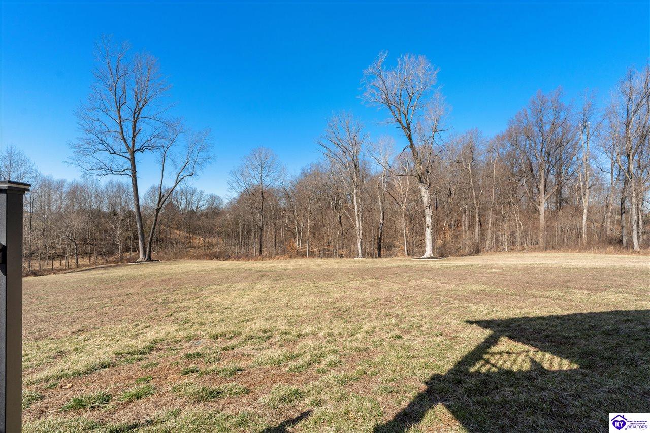 215 Still Meadow Ct Property Photo 50