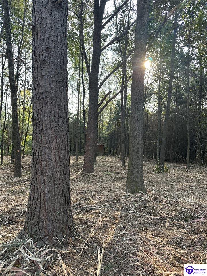 139 Sassy Ct Property Photo 1