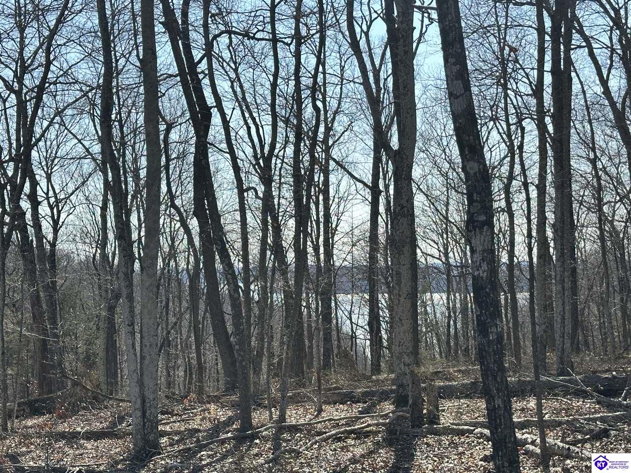 0 Pikes Ridge Road Property Photo 1