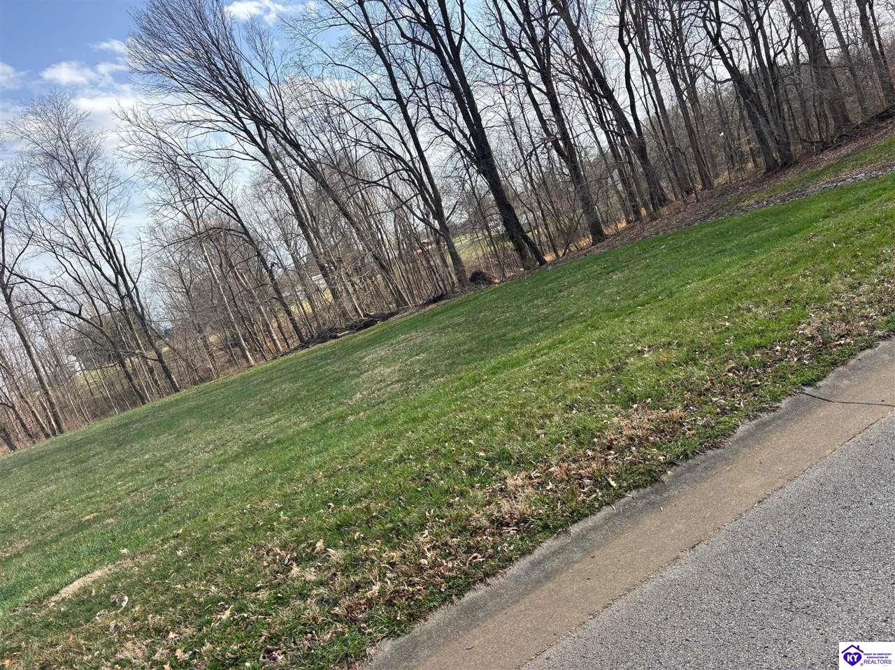 0 Blackberry Drive Property Photo 1
