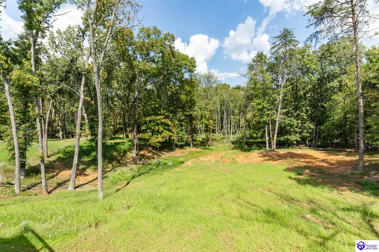 1007 Burns Road Property Photo 68