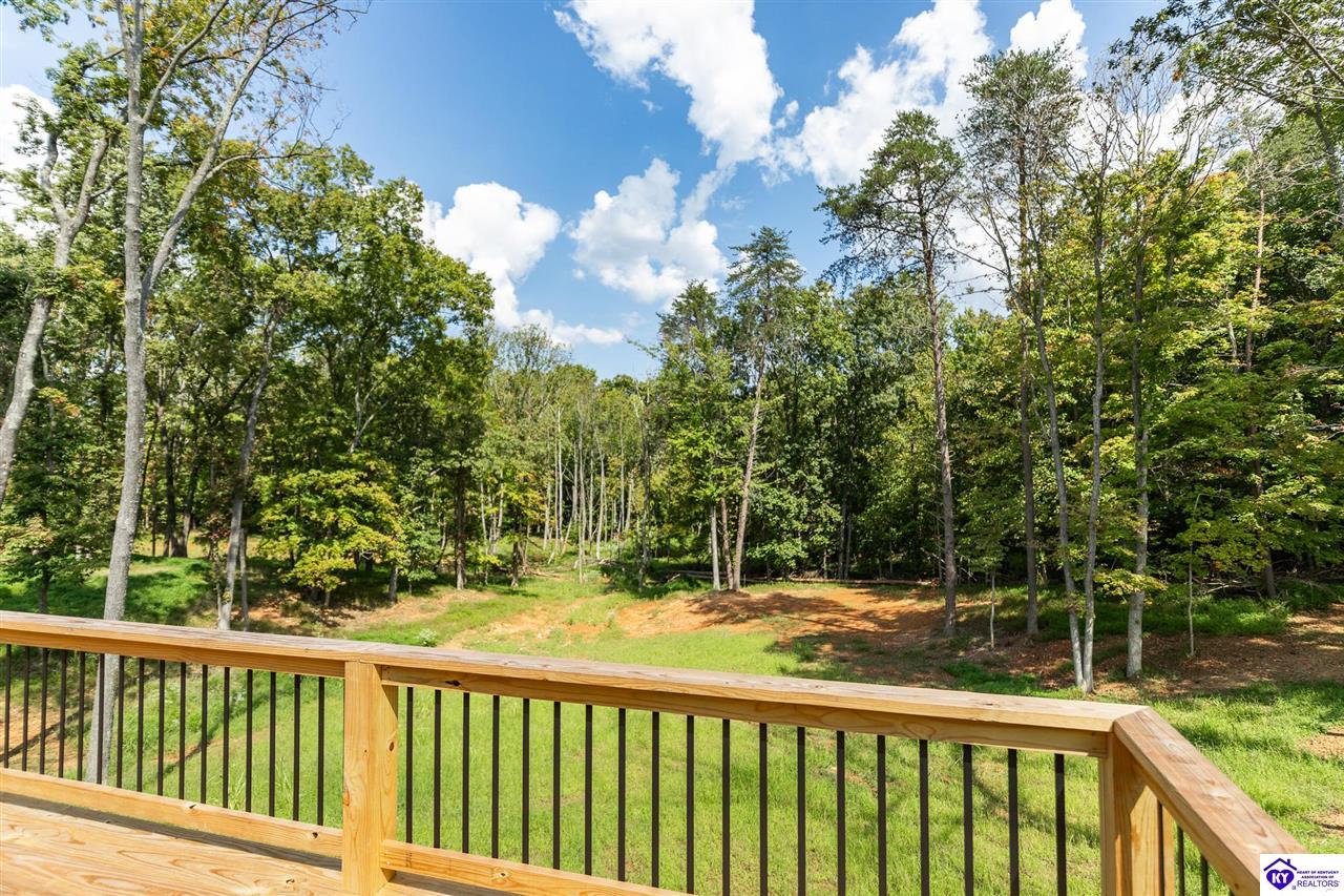 1007 Burns Road Property Photo 70