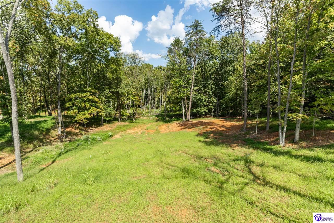 1007 Burns Road Property Photo 71
