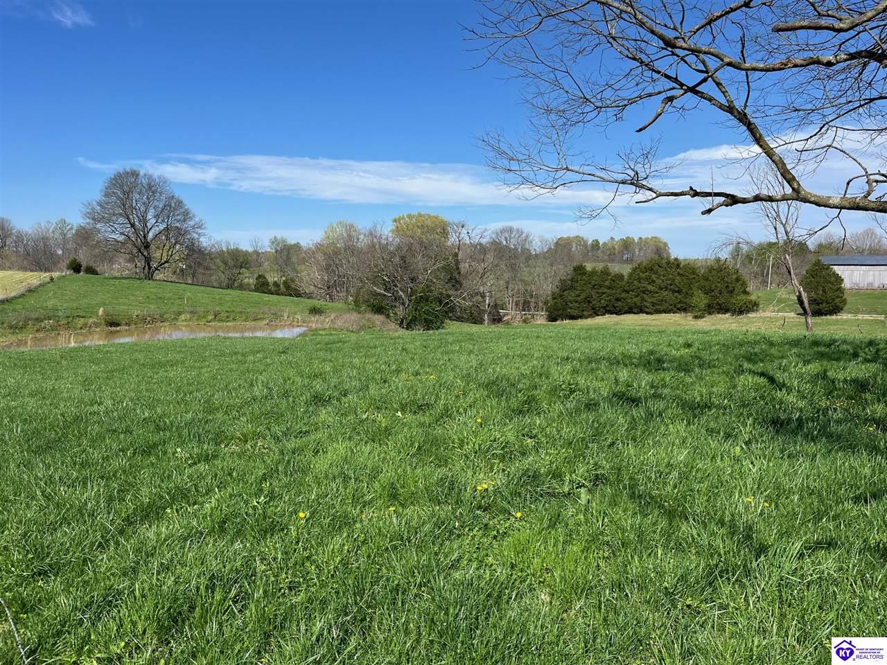 Tract 8a/8b Charlie Rhea Road Property Photo