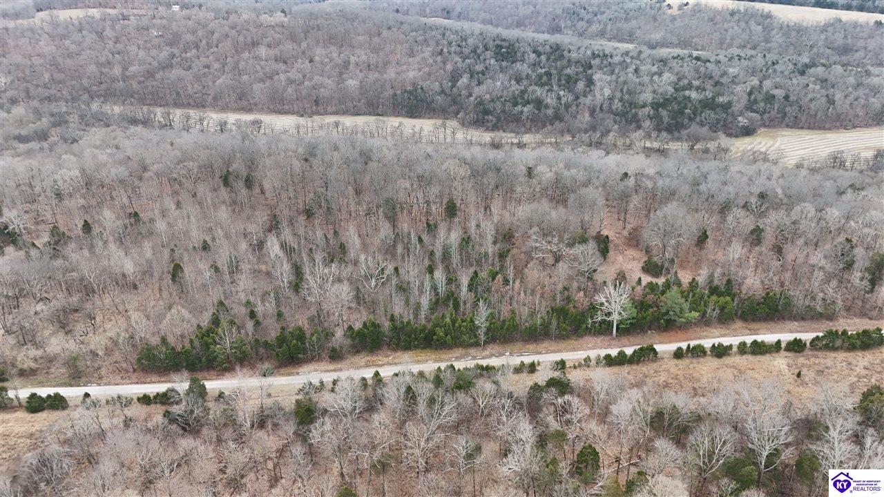 116 Ac Wand Cemetery Road Property Photo 4