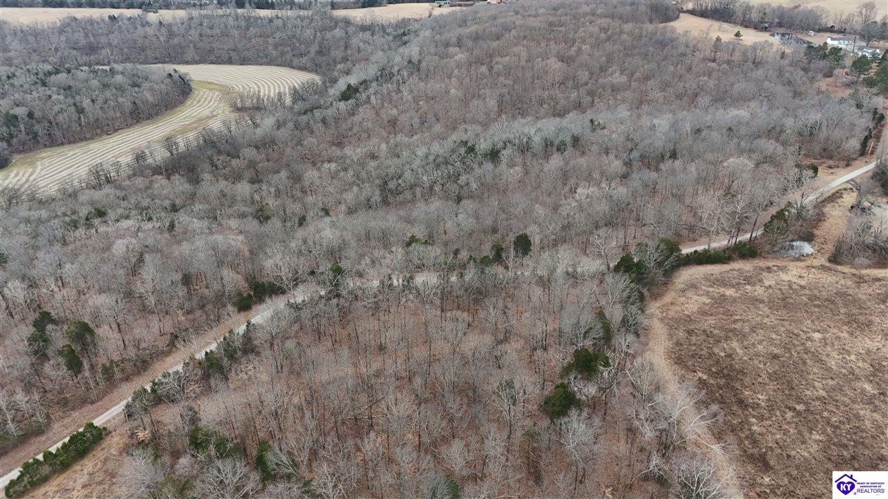 116 Ac Wand Cemetery Road Property Photo 5