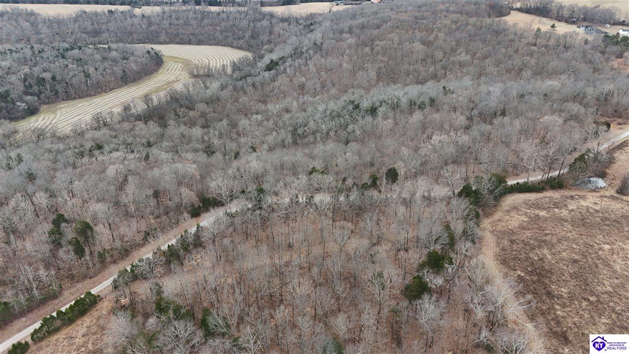 116 Ac Wand Cemetery Road Property Photo 6