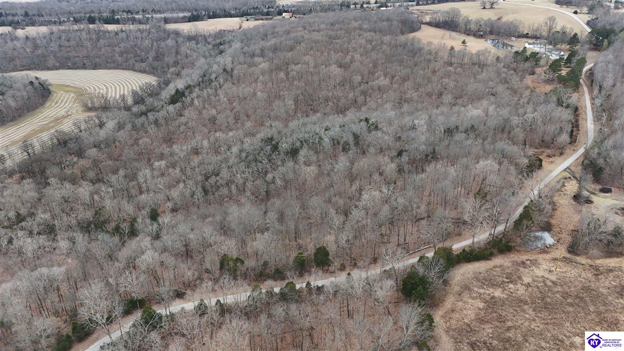 116 Ac Wand Cemetery Road Property Photo 7