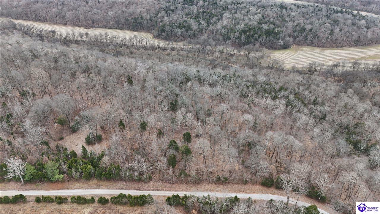 116 Ac Wand Cemetery Road Property Photo 8