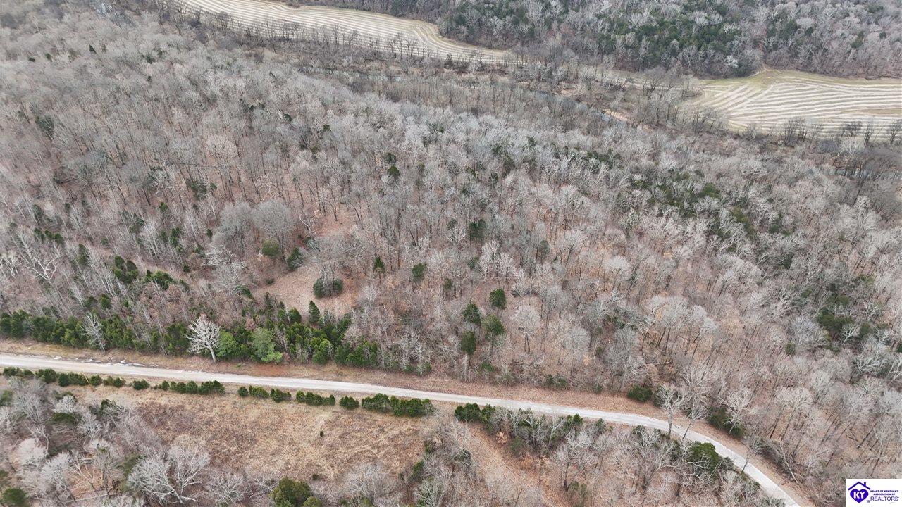 116 Ac Wand Cemetery Road Property Photo 10