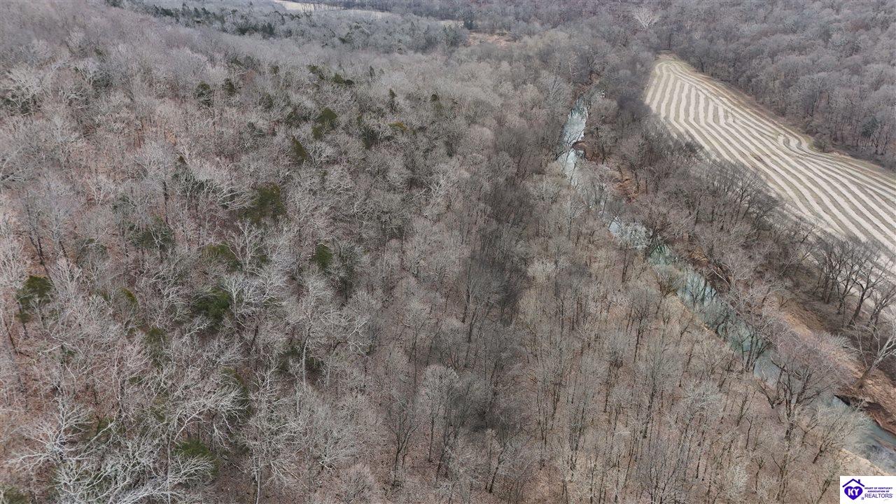 116 Ac Wand Cemetery Road Property Photo 13