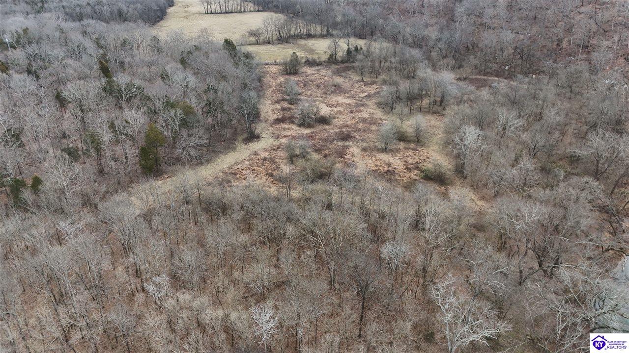 116 Ac Wand Cemetery Road Property Photo 18