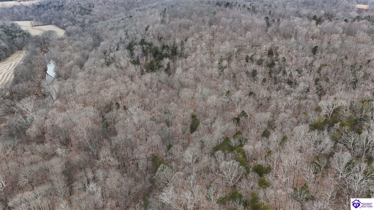 116 Ac Wand Cemetery Road Property Photo 22
