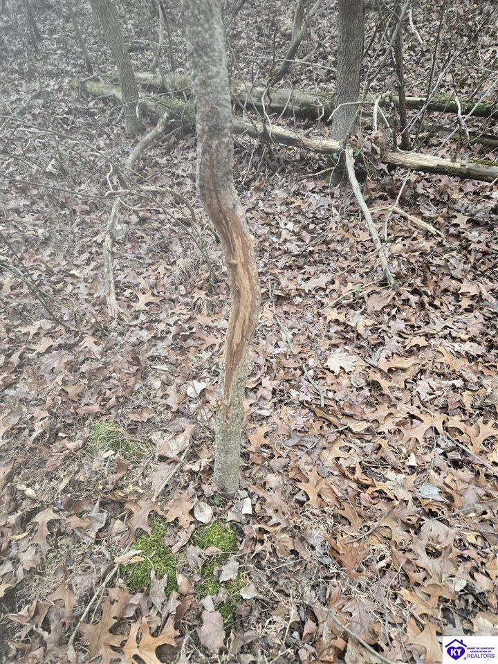 116 Ac Wand Cemetery Road Property Photo 37