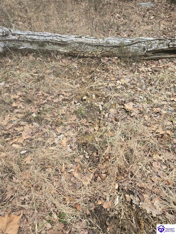 116 Ac Wand Cemetery Road Property Photo 38