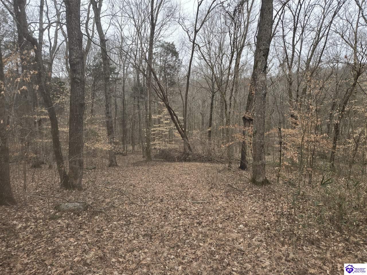 116 Ac Wand Cemetery Road Property Photo 39