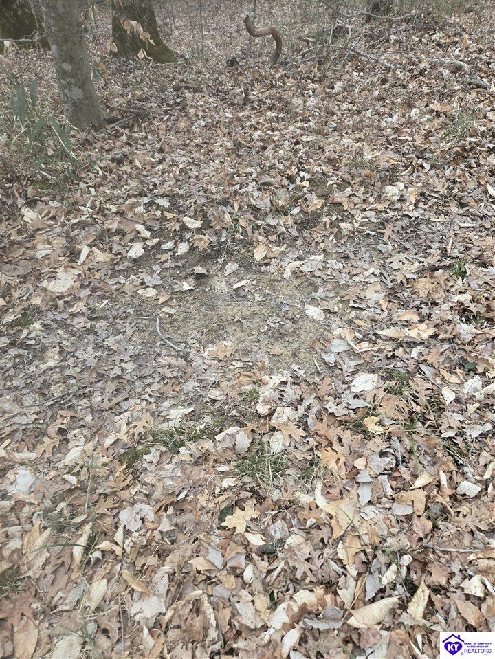 116 Ac Wand Cemetery Road Property Photo 40